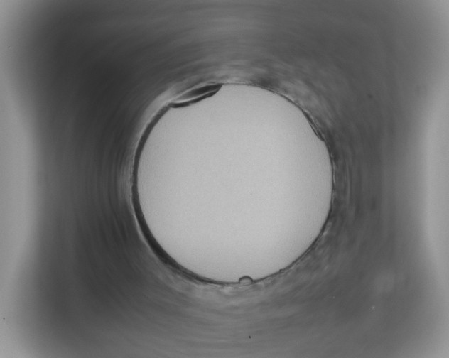 X0000111370003200907311042