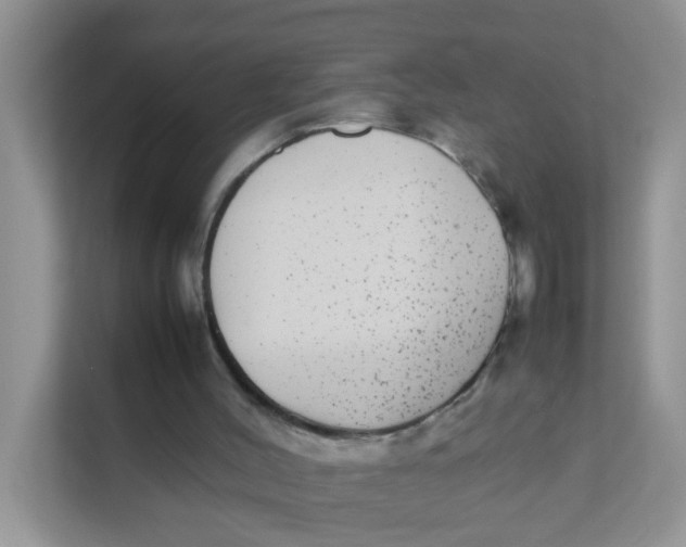 X0000111370004200907311042