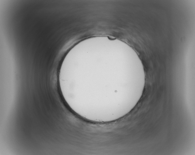 X0000111370005200907311042