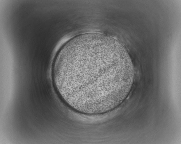 X0000111370006200907311042