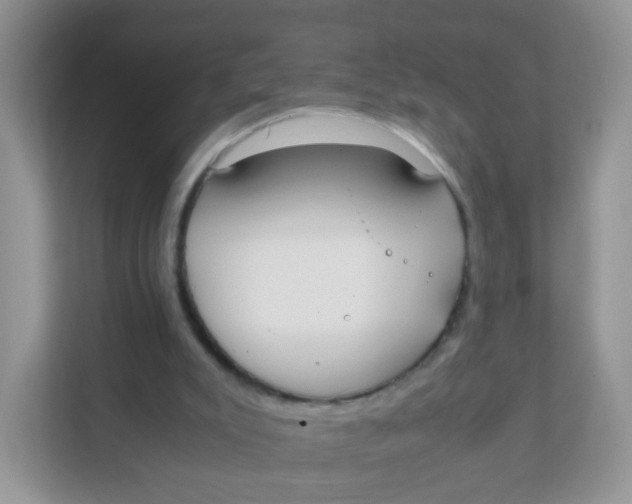 X0000111370007200907311042