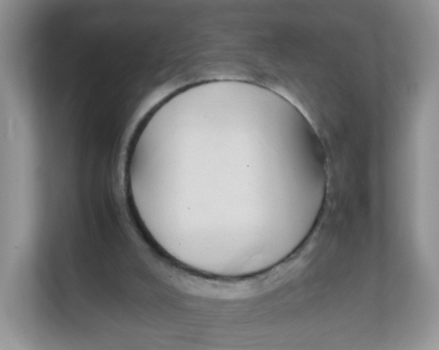 X0000111370008200907311042