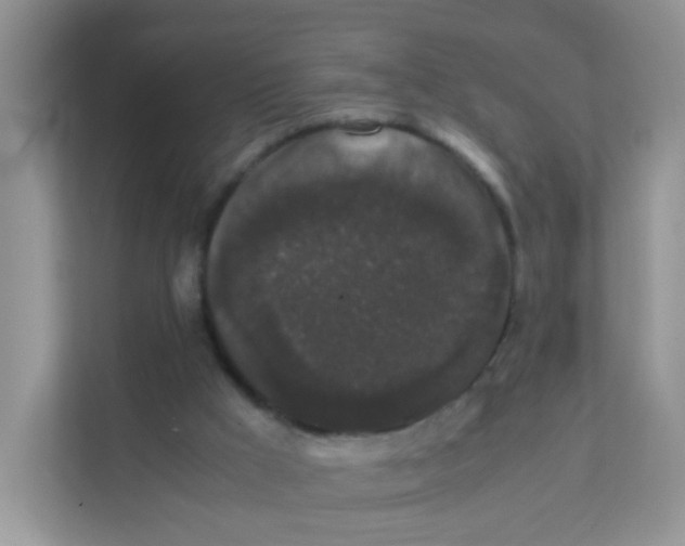 X0000111370009200907311042