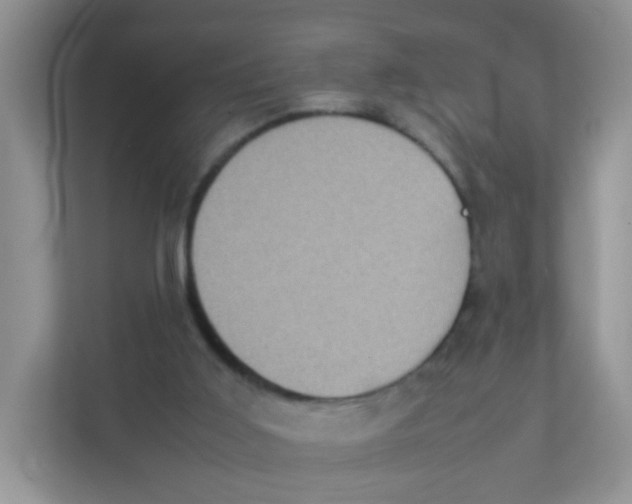 X0000111370011200907311042