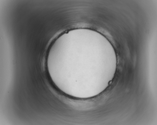 X0000111370012200907311042