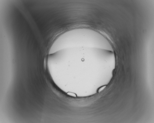 X0000111370013200907311042