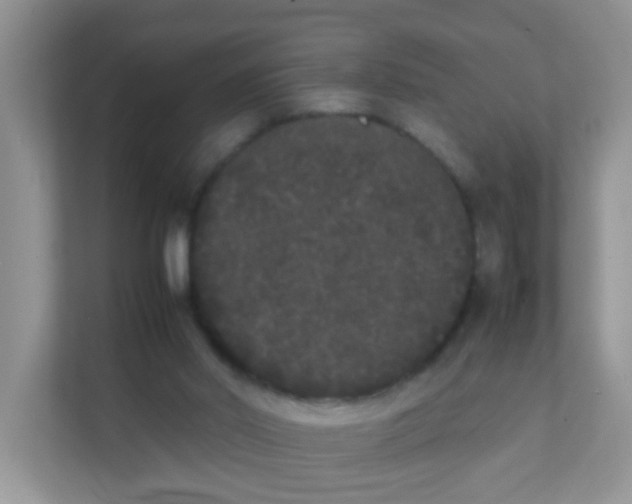 X0000111370014200907311042