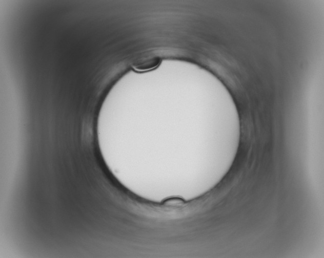 X0000111370015200907311042