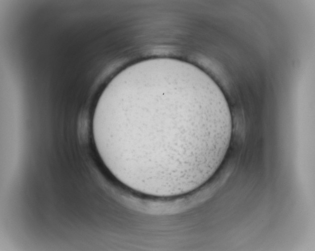 X0000111370016200907311042