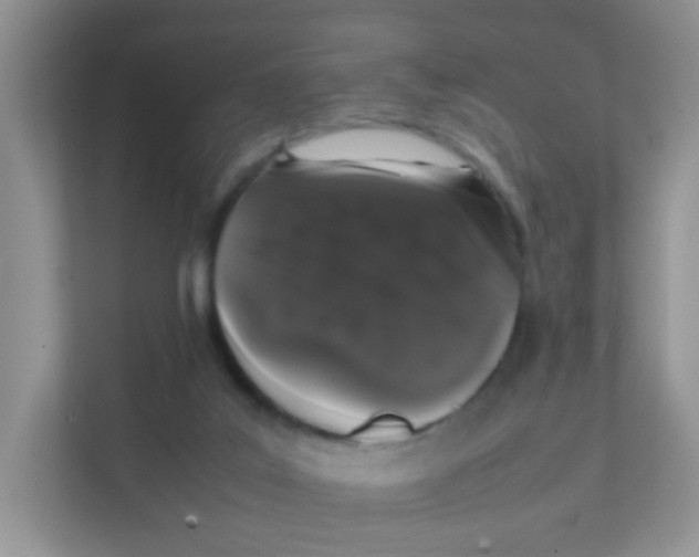 X0000111370019200907311042