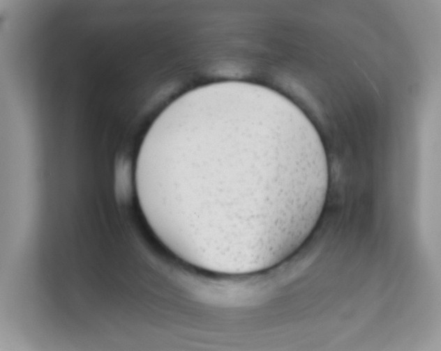 X0000111370020200907311042