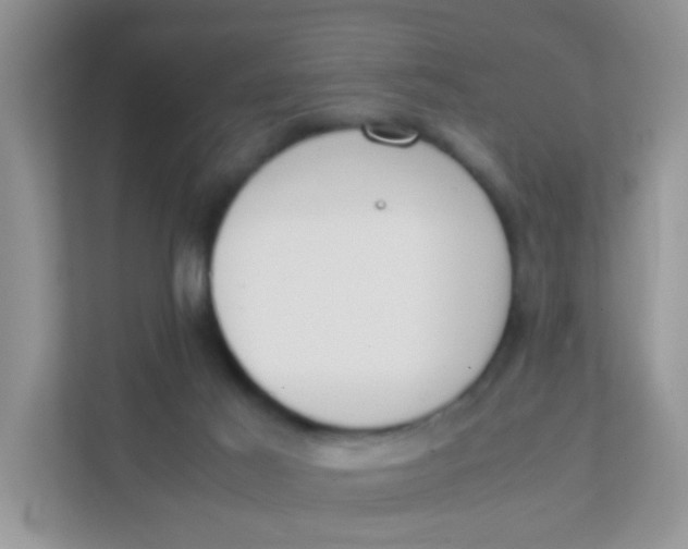 X0000111370021200907311042