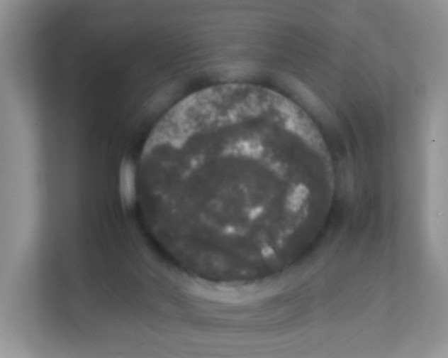 X0000111370022200907311042