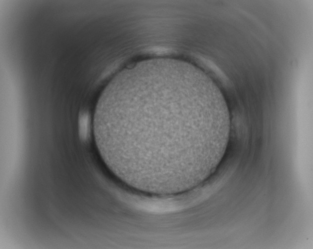 X0000111370024200907311042