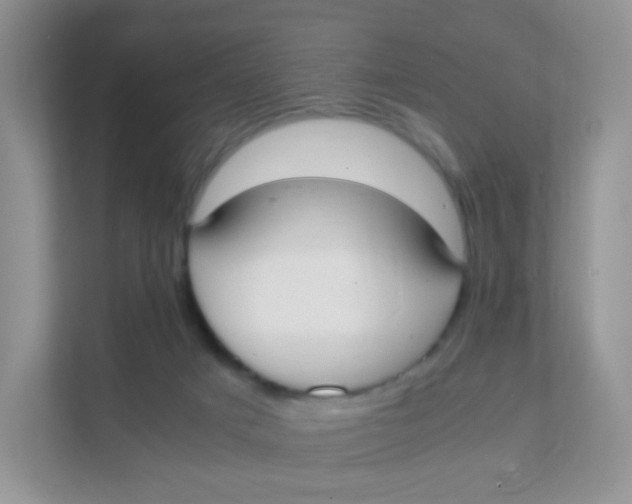X0000111370025200907311042