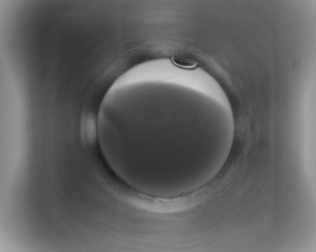 X0000111370027200907311042