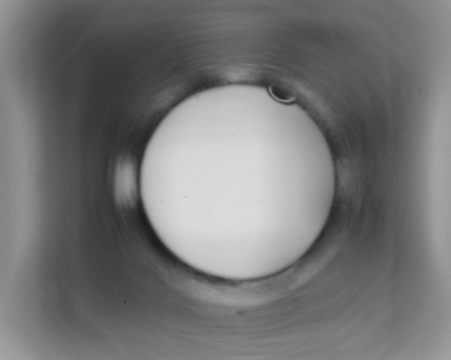 X0000111370028200907311042