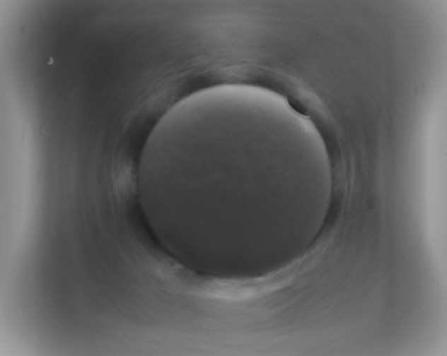 X0000111370029200907311042