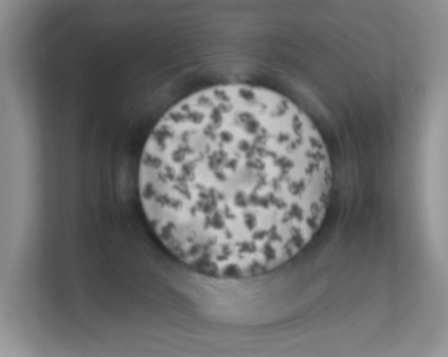 X0000111370030200907311042