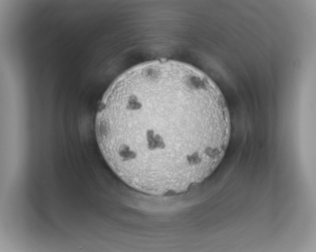 X0000111370034200907311042
