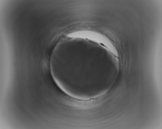 X0000111370035200907311042