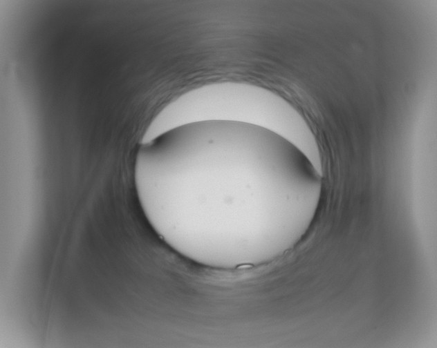 X0000111370037200907311042