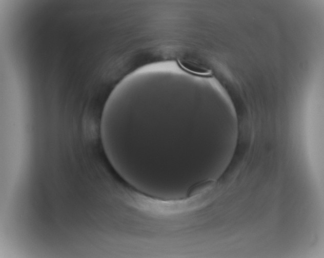 X0000111370039200907311042