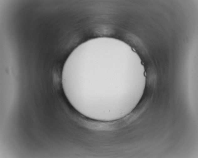 X0000111370040200907311042