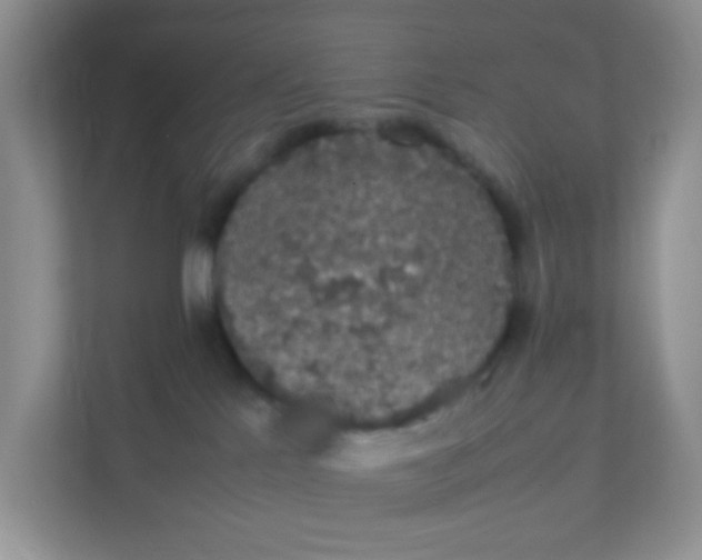 X0000111370041200907311042