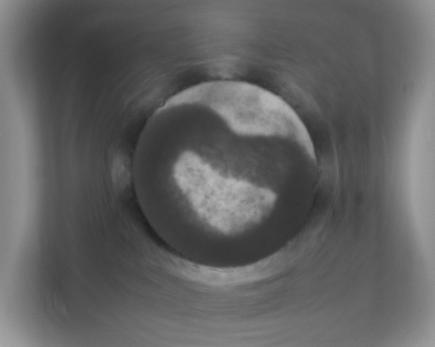 X0000111370043200907311042