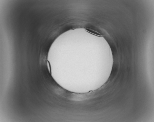 X0000111370045200907311042