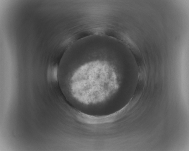 X0000111370047200907311042