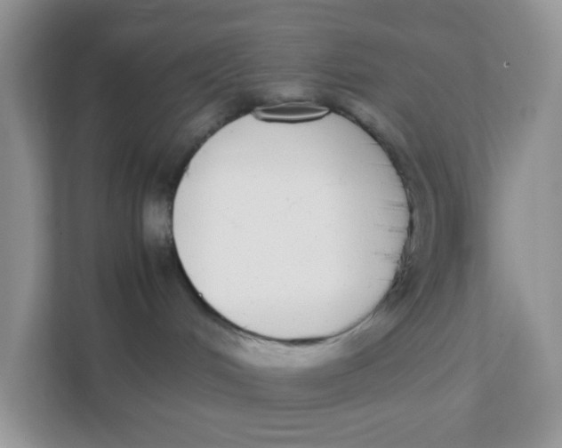X0000111370048200907311042