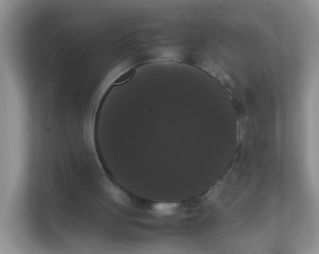 X0000111370051200907311041