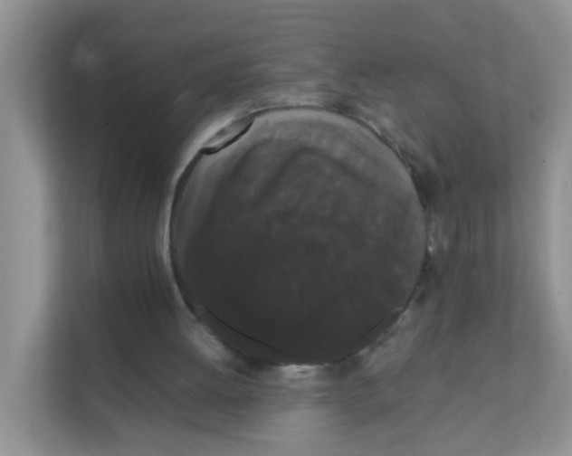 X0000111370052200907311041