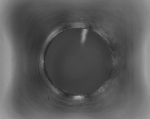 X0000111370053200907311041