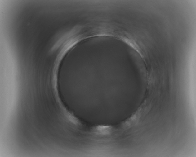 X0000111370055200907311041
