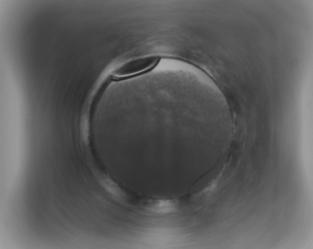 X0000111370056200907311041