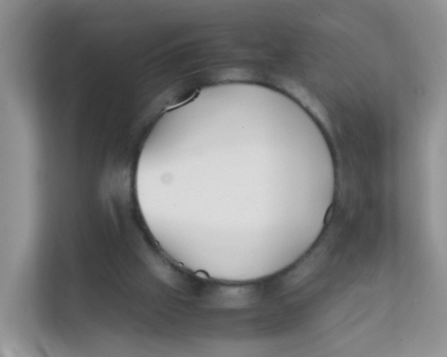 X0000111370057200907311041