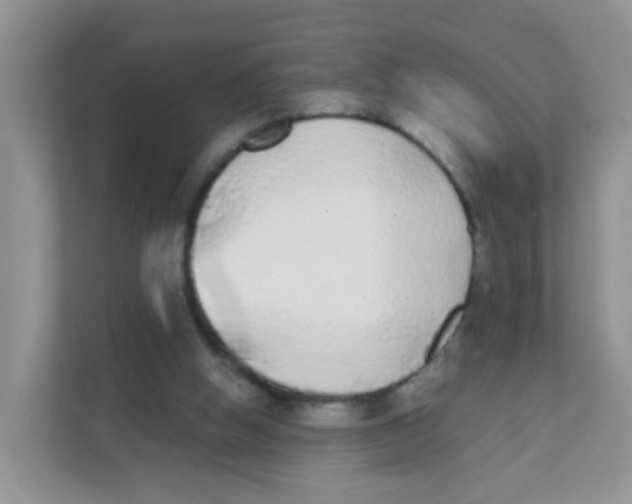 X0000111370058200907311041