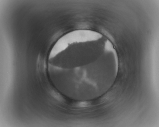 X0000111370059200907311041