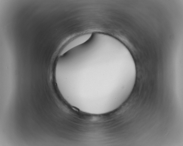 X0000111370060200907311041