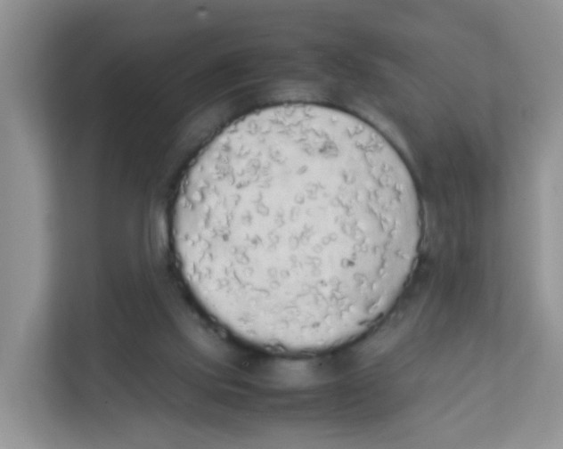 X0000111370061200907311041