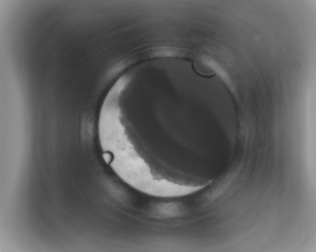 X0000111370063200907311041