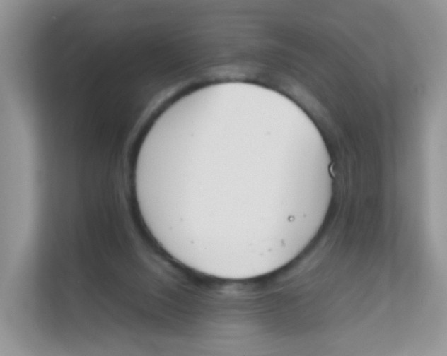 X0000111370064200907311041