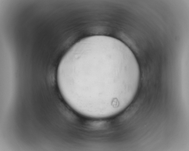 X0000111370065200907311041