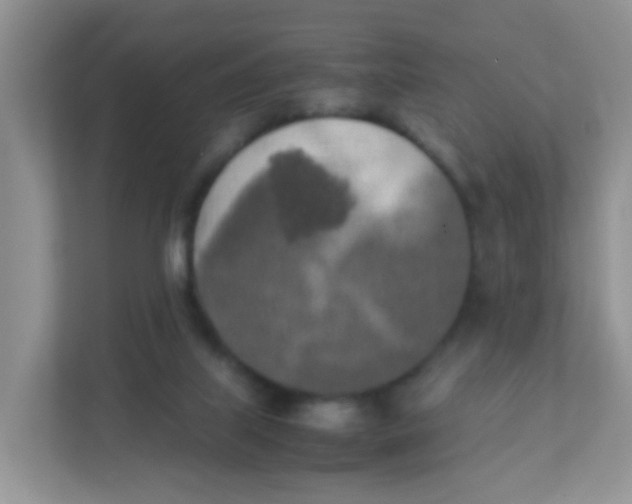 X0000111370067200907311041