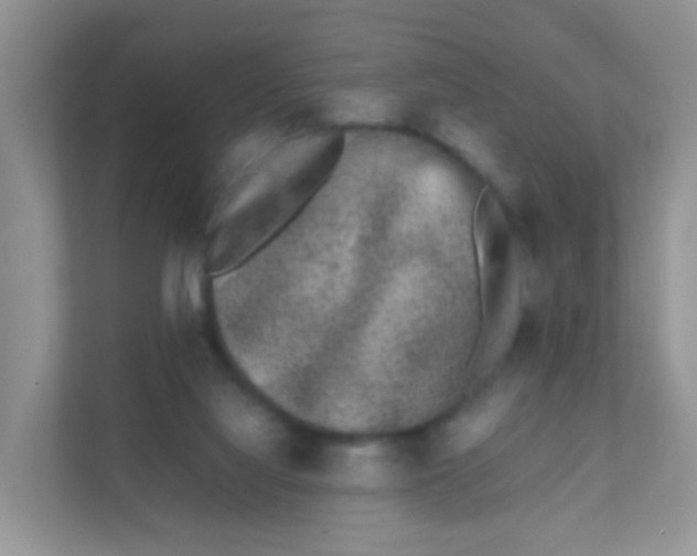 X0000111370068200907311041