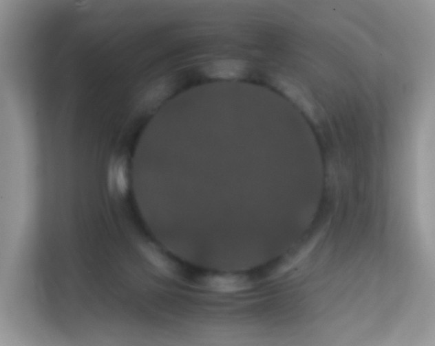 X0000111370069200907311041