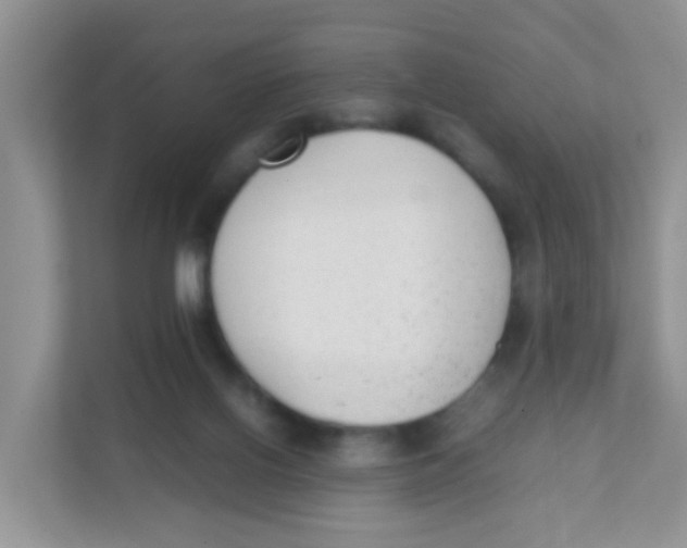 X0000111370070200907311041